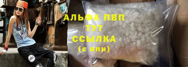 гидра Алексин