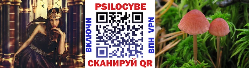 Псилоцибиновые грибы мицелий Череповец