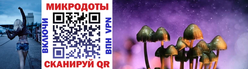 цены наркотик Череповец Псилоцибиновые грибы GOLDEN TEACHER